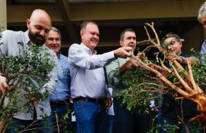 Riedel participa de retirada simbólica de murtas na Expogrande