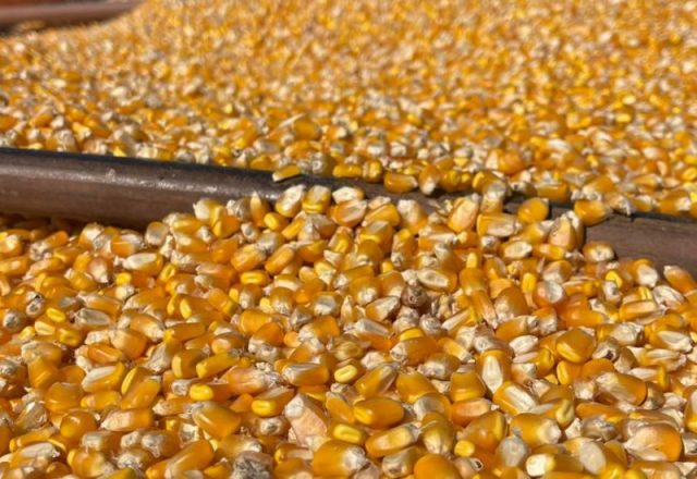 Fazenda Cachoeira Bandeirantes _2