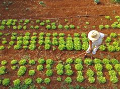 Agraer fortalece acesso ao crédito rural a quem trabalha no campo