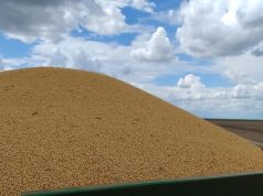 Soja assume liderança de vendas externas em Mato Grosso do Sul