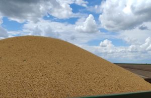 Soja assume liderança de vendas externas em Mato Grosso do Sul