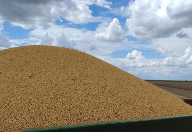 IMG_20250220_141903774_0