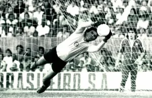 Você sabia que hoje é dia do guarda-redes, também conhecido como goleiro?