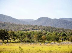 Prazo para adesão ao PSA Conservação é prorrogado em Mato Grosso do Sul