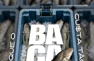 Por que o Bacalhau custa caro?