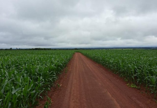 WhatsApp Image 2026-04-08 at 20.08.40_0