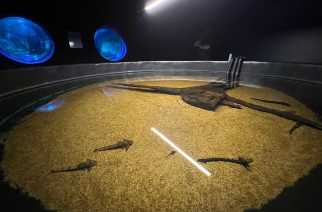 WhatsApp-Image-2026-04-15-at-15.11.47-730x480