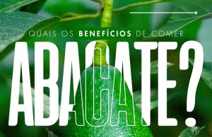 Quais os benefícios de comer Abacate?
