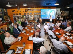 MS alcança padrão mundial na suinocultura