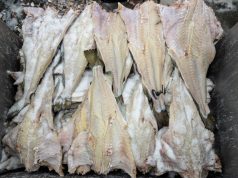 Fique atento à qualidade do bacalhau na Semana Santa