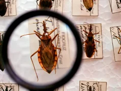 Saúde anuncia R$ 12 milhões para enfrentamento da doença de Chagas
