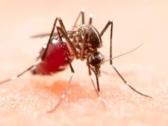 Chikungunya avança e Dourados declara situação de calamidade em saúde pública