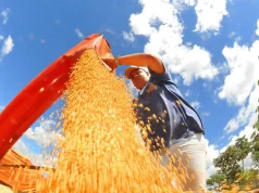 Atividade econômica brasileira cresce 0,6% em fevereiro