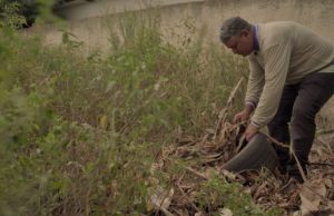 Emergência por chikungunya reforça atendimento em aldeias de Dourados