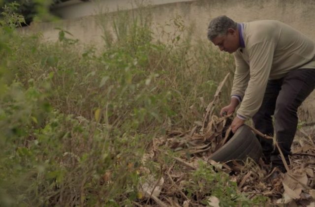 combate-a-chikungunya-730x480