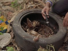 SES realiza força-tarefa com Defesa Civil para conter avanço da chikungunya em Dourados