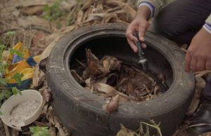 SES realiza força-tarefa com Defesa Civil para conter avanço da chikungunya em Dourados