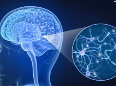 Esclerose múltipla tem novo tratamento com anticorpo aprovado pela Anvisa