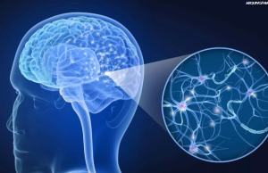 Esclerose múltipla tem novo tratamento com anticorpo aprovado pela Anvisa