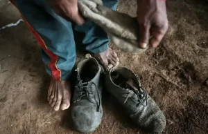 Amado Batista e BYD são incluídos em lista de trabalho escravo do MTE