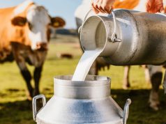 Governo anuncia nesta segunda R$ 909 milhões para a cadeia do leite e a reforma agrária