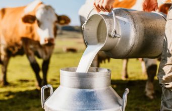 Governo anuncia nesta segunda R$ 909 milhões para a cadeia do leite e a reforma agrária