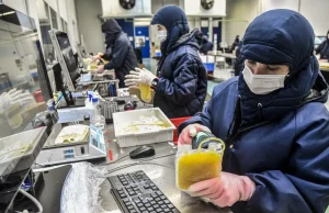 Dia Mundial da Hemofilia: campanha reforça importância do diagnóstico