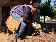 Pelo whatsapp, Governo Federal alerta para epidemia de chikungunya em Dourados