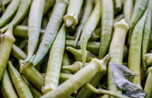 Garantia-Safra: veja lista dos que receberão pagamento em abril