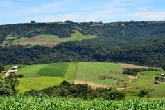 Parceria com Google melhora eficiência do Cadastro Ambiental Rural
