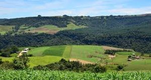 Parceria com Google melhora eficiência do Cadastro Ambiental Rural