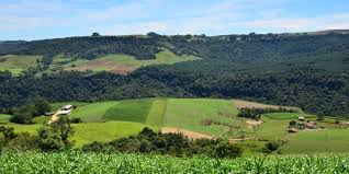 Parceria com Google melhora eficiência do Cadastro Ambiental Rural