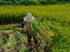 Garantia de direitos trabalhistas no campo ainda enfrenta desafios