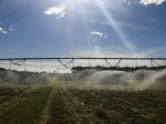 Ameaça sobre espécies dependentes do solo é desconhecida, diz estudo