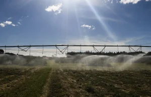 Ameaça sobre espécies dependentes do solo é desconhecida, diz estudo