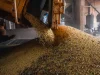 Brasil deve voltar a ser 10ª maior economia após resultado do PIB