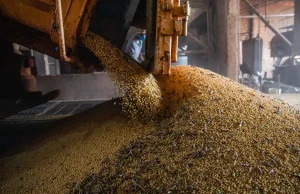 Brasil deve voltar a ser 10ª maior economia após resultado do PIB