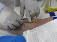 MS segue há 7 anos sem casos confirmados de hantavirose, reforça SES