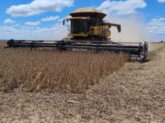 Safra estadual de soja alcança 60,40 sacas por hectare