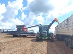 China compra 84% da soja de MS e tensão com Taiwan pode afetar custos no campo