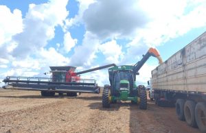 China compra 84% da soja de MS e tensão com Taiwan pode afetar custos no campo