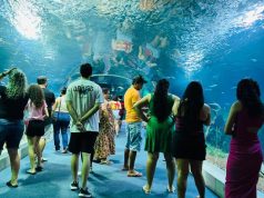 Bioparque Pantanal se prepara para sediar evento nacional de zoológicos e aquários