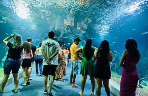 Bioparque Pantanal se prepara para sediar evento nacional de zoológicos e aquários