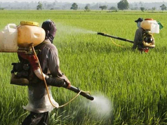 Governo vai monitorar presença de agrotóxico em bacias hidrográficas