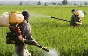 Governo vai monitorar presença de agrotóxico em bacias hidrográficas