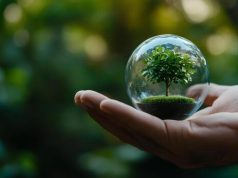 Instituto Pirâmide promove ´Tertúlia Ecológica`; inscrições abertas até dia 31