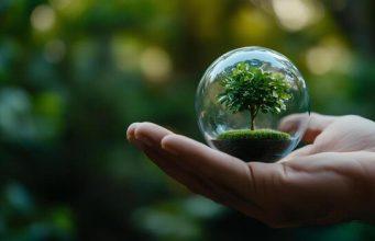 Instituto Pirâmide promove ´Tertúlia Ecológica`; inscrições abertas até dia 31