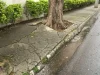 Defeitos em calçadas fazem 42% dos idosos terem medo de cair