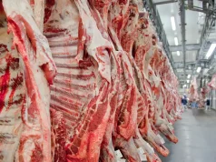 Governo federal promete reverter veto da UE a carnes e animais brasileiros