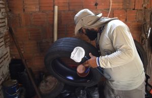 MS registra 6.360 casos confirmados de chikungunya; 21 pessoas morreram